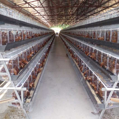 Las gradas de la granja avícola 5 acodan la batería animal de los pájaros de la jaula 250 del pollo