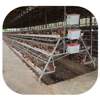 Casa de pollo galvanizada caliente de la granja avícola del huevo de la jaula de la capa de 4 gradas