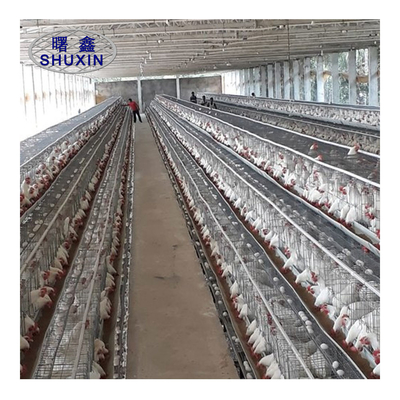 Cajadas de baterías de Hdg para animales para gallinas ponedoras Equipos de las granjas avícolas
