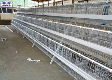 La jaula del pollo de 3 capas/la jaula de la avicultura de la capa diseña tiempo de la larga vida