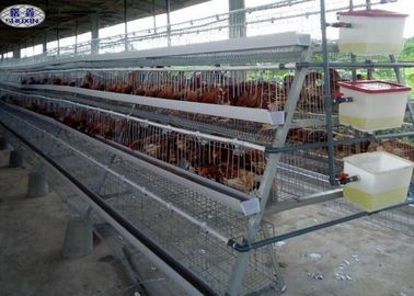 Las jaulas durables del pollo de las aves de corral, las aves de corral automatizadas enjaulan la certificación del CE