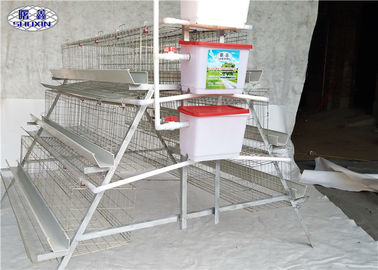 Las gradas de la granja avícola 4 acodan la jaula del pollo con los alimentadores y el circuito de agua