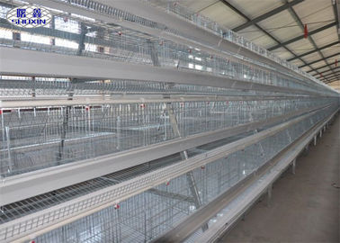Jaulas galvanizadas de la capa del pollo de las gradas de la granja 3 para la alimentación de aves de corral