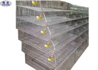 La jaula de colocación de las codornices de la malla soldada con autógena/las aves de corral de las codornices acoda la certificación del CE de las jaulas