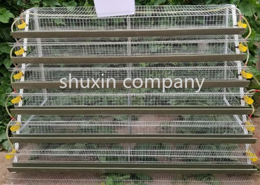 Jaula comercial de las codornices de la capa de la malla de alambre para las codornices que cultivan la longitud del 1.8m
