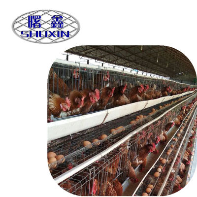 Pájaros de la capacidad 96-160 de las gradas de la jaula 3/4 del pollo del gallinero de pollo de alta calidad en Tanzania