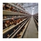 Pollo de acero galvanizado, jaula para poner huevos Gran capacidad 96-160 pollos