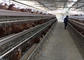 5 Sala 160 aves Cajera de batería de capa de pollo en granja automática de aves de corral
