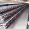 Batería automática de aves de corral de capas Jaula de pollo tipo A para granja