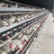 Galfan alambre de la casa de aves de corral capa de la jaula de gallinas para poner huevos