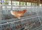 Las jaulas grandes del pollo de las aves de corral, aves de corral acodan la superficie galvanizada diseño de la jaula