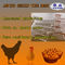 Tipo automático jaula del HDG A de la capa del pollo para la granja avícola