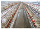 Jaula del pollo tomatero Q235 de la avicultura con el certificado del CE