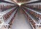 Pollo agrícola automático galvanizado Q235 que cría jaulas