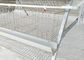 El equipamiento agrícola animal de Poutry jaula del pollo de 120 capas galvanizó superficial