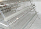 Jaula galvanizada 160 pollos de alimentación automática del pollo que pone a Hen Cages