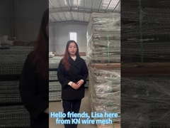 Presentación del producto de barrera defensiva