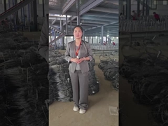 Espectáculo del taller de malla de alambre invisible