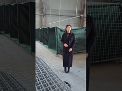 Modelo de barrera defensiva 10 - Explicación de cerca