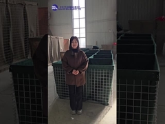 Diversos modelos de demostración y explicación de la barrera defensiva