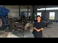 Cercado de alambre de púas con cuchillas de afeitar cruzadas de acero inoxidable BTO-16 BTO-22 BTO-60 CBT-65