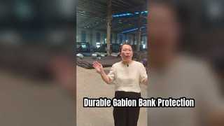 El Pvc cubrió las jaulas de las cestas de Gabion gaviones de acero del muro de contención de 80 x de 100m m para la protección del banco