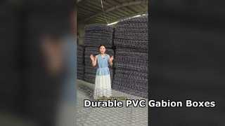 Caja de gaviones recubierta de PVC de malla de alambre de hierro galvanizado