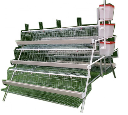 Hdg un tipo jaula de colocación de baterías de pollo 96 o capacidad 128 para aves de corral