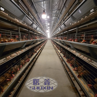 Cajera automática de 160 capas de aves de las granjas avícolas para capas de huevos