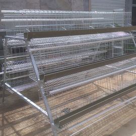 El canal 96 del PVC 128 160 que las aves de corral Egg las jaulas de la capa/la jaula de la granja avícola fáciles instala