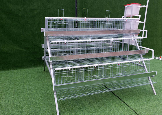 El tipo 96 pájaros de Q235 A acoda a Hen Cages For Kenya Farm