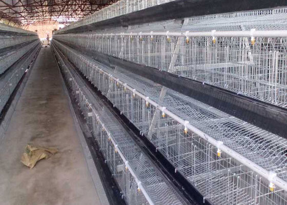 La batería galvanizó jaulas automáticas del pollo de las aves de corral de Hen Layer COC