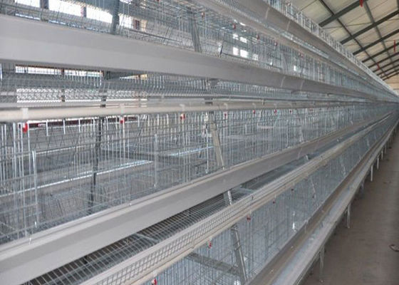 La capacidad grande galvanizó la capa automática Hen Cages For 160 pollos