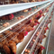160 pájaros acodan el alambre de acero el 1.95m del equipo de granja avícola de la jaula del pollo Q235 galvanizados