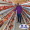 H mecanografía las granjas avícolas automáticas del huevo de la jaula del pollo de la capa de la batería