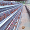 Mini jaulas para aves de corral, tipo A, capa de pollo, 4 niveles, 160 aves