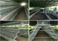 160 ponedoras de alimentación automáticas de las aves de corral de la granja de los pollos jaula