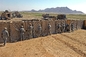 Barreras defensivas resistentes de la milipulgada 10 milipulgada 3 Hesco de las bolsas de arena de las barreras para la radio de tiro