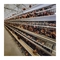 Equipo para aves de corral de jaula de pollo de capa automática tipo H para la producción de huevos