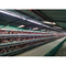 Galvanizado 3 niveles 120 capas de la jaula de pollo Avicultura Sistema de agua automático