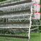 Capas galvanizadas de gallina de jaula de batería de gallina 3 / 4 niveles con sistema automático