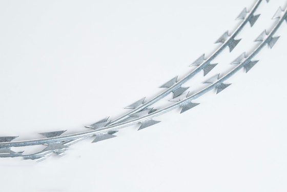 Acero inoxidable galvanizado o galvanizado en caliente 304 Concertina alambre de púas antiascensión