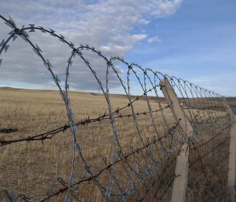 Cables de púas galvanizados de alambre de afeitar antiescalada de aves de protección de cuchillas espinas de barbería