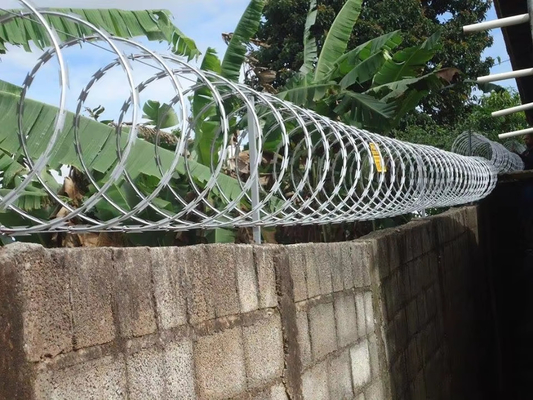 2024 KN Protección de cercas con malla de alambre de púas de 2,5 mm en Kenia Sudáfrica Zimbabwe