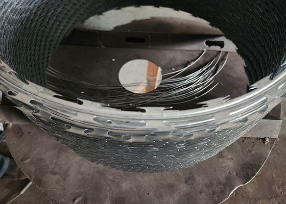 Acero galvanizado doblemente retorcido revestido de PVC cercas de alambre de afeitar espigas de pared de origen directo