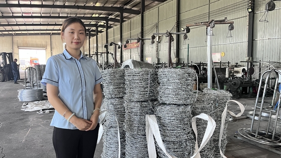Cables de alambre de púas galvanizados de alta resistencia 1.6Mm 300M