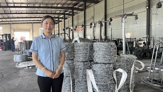 1.6 mm 500 m 25 kg/rollo de alambre de púas galvanizado sumergido en caliente