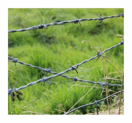 Venta al por mayor de alambre de púas de acero electro galvanizado de bajo costo para el hogar