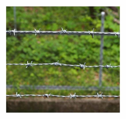 KN Venta caliente de alambre de púas de cercas