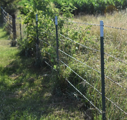 Por mayor alambre de púas galvanizado de alta tensión de giro de 14 gauge con 3 o 4 pulgadas de distancia de púas